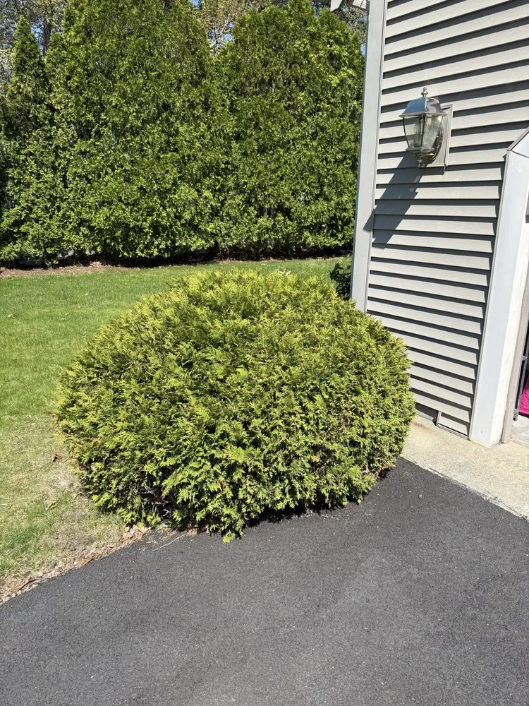 Custom residential landscaping in East Falmouth, MA by JMG