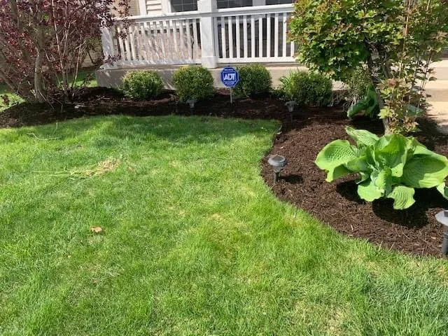 Expert yard cleanup service near you across Zion, IL - JMG Elite Lawn Care