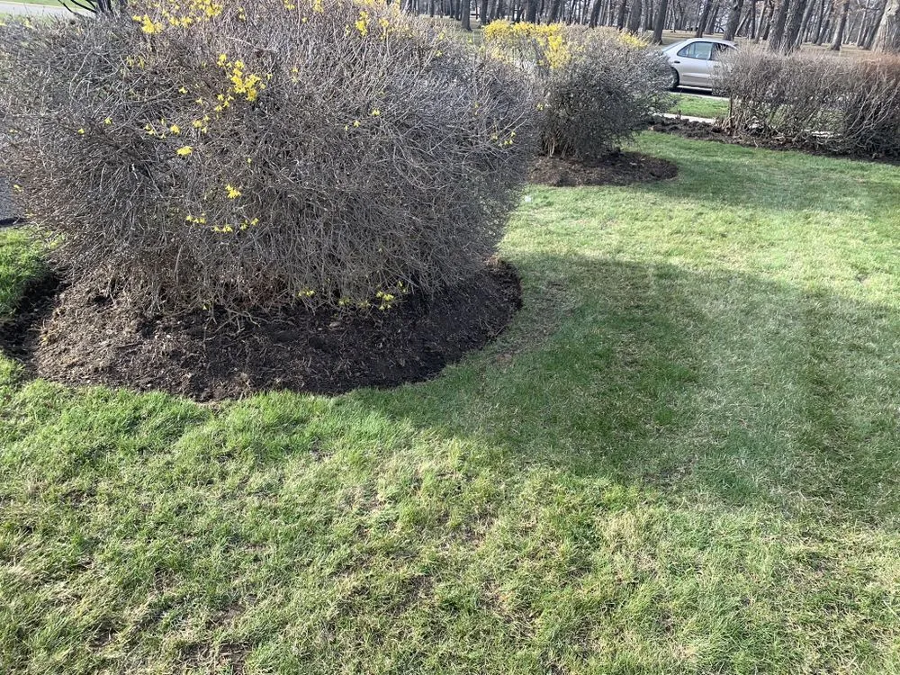 Custom yard maintenance in Zion, IL by JMG Elite Lawn Care