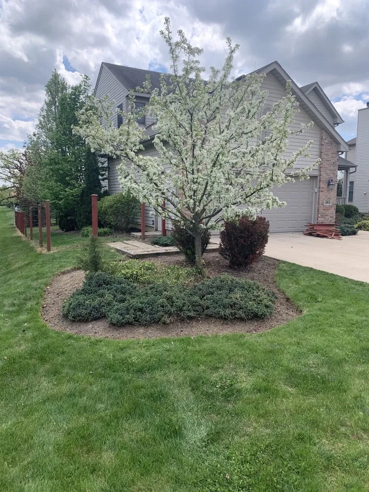 Professional landscaping services for residential properties across Zion, IL - JMG Elite Lawn Care
