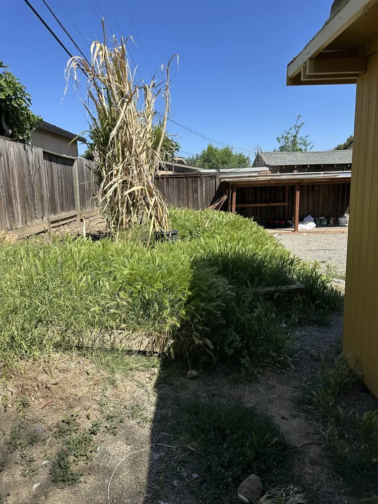 Reliable landscape design for outdoor upgrades across Sunnyvale, CA - JMG Garden & General Cleaning Service