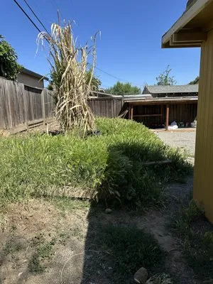 JMG Garden & General Cleaning Service Logo