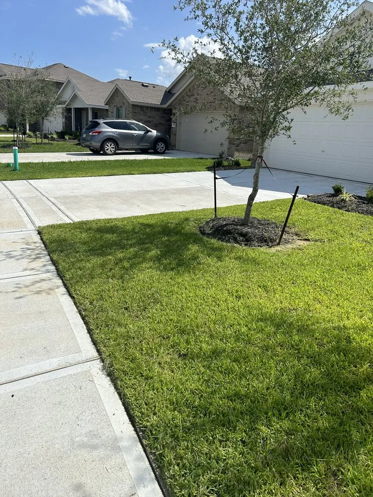 Reliable lawn care service in Baytown, TX by JMG Landscaping