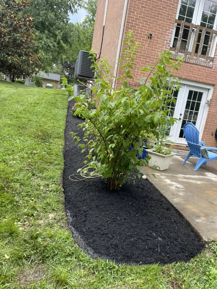 Affordable yard cleanup service in Montgomery Village, MD - JMG Landscaping