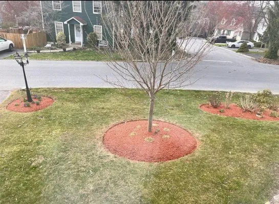 JMG Landscaping Logo