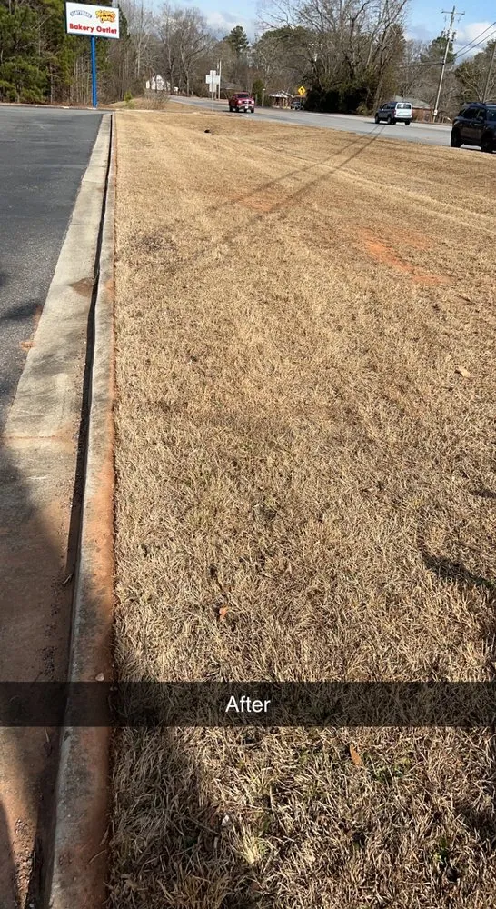 Professional yard maintenance in Griffin, GA by JMG Lawn Care