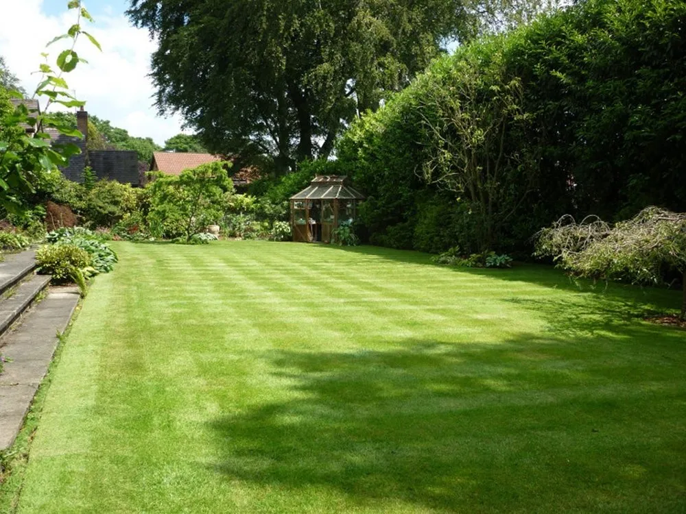 Affordable residential landscaping near you in Griffin, GA by JMG Lawn Care