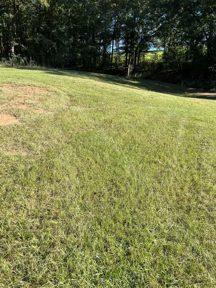 Reliable residential landscaping in Griffin, GA by JMG Lawn Care