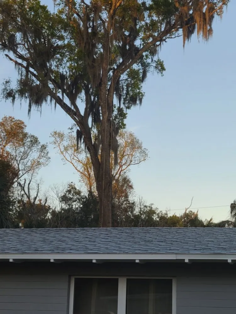 Expert garden landscaping experts serving Bunnell, FL - JMH Land Management