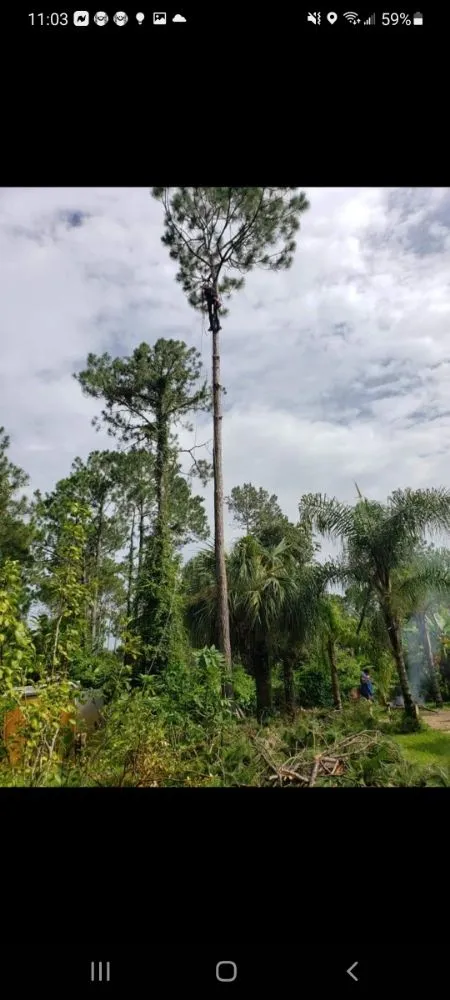 Affordable lawn care service experts serving Bunnell, FL - JMH Land Management