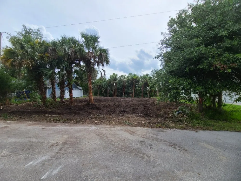 Top-rated landscaping services in Bunnell, FL - JMH Land Management