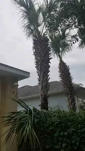 Trusted landscaping services in Bunnell, FL - JMH Land Management