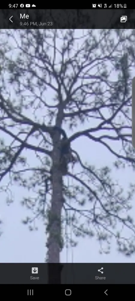 Reliable landscaping services with custom design across Bunnell, FL - JMH Land Management