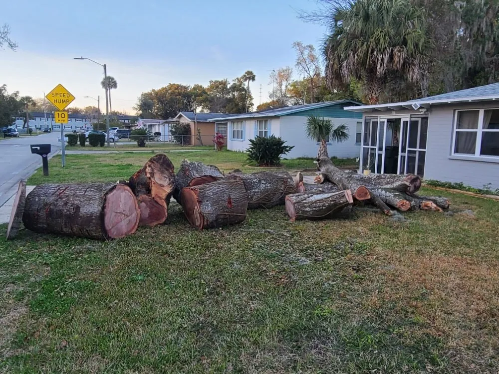 Professional landscape installation for beautiful yards in Bunnell, FL by JMH Land Management