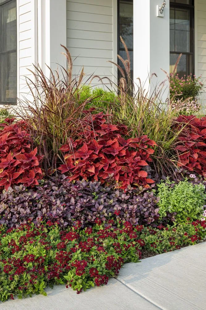 Expert yard cleanup service in Newbury, MA by JMJ gardens