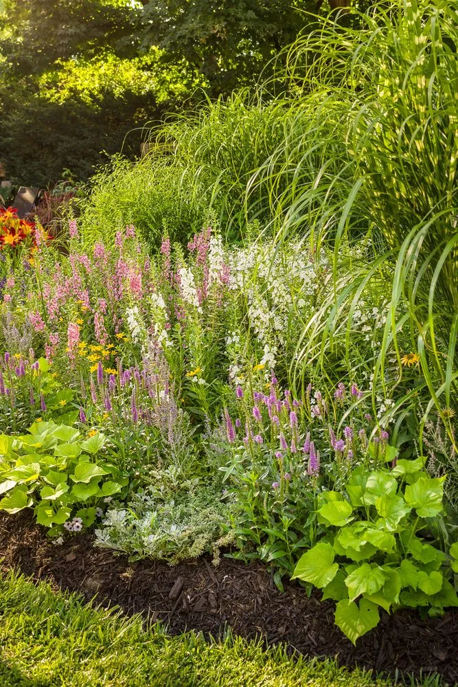 Reliable landscape design experts serving Newbury, MA - JMJ gardens