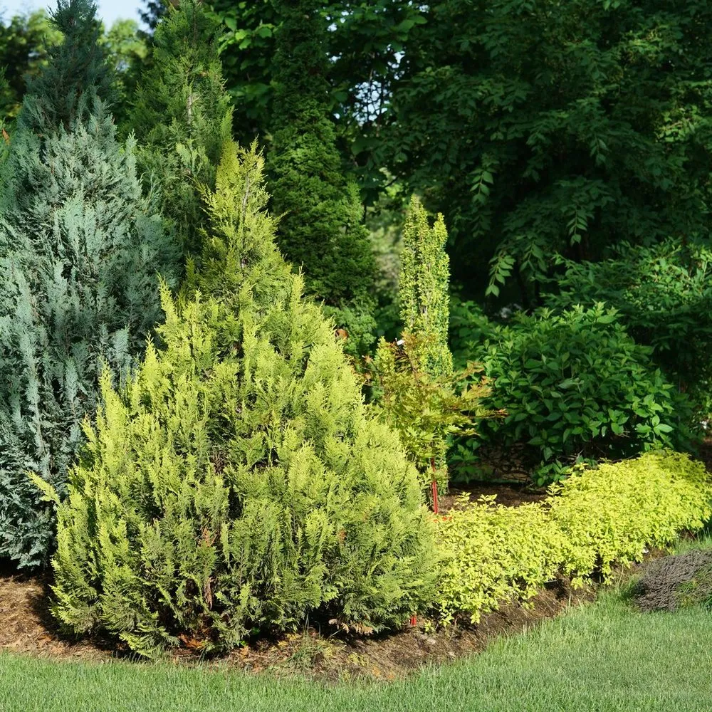 Affordable landscape installation for residential properties across Newbury, MA - JMJ gardens