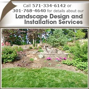 Expert residential landscaping for year-round maintenance in Reston, VA by JMJ Horticulture Associates
