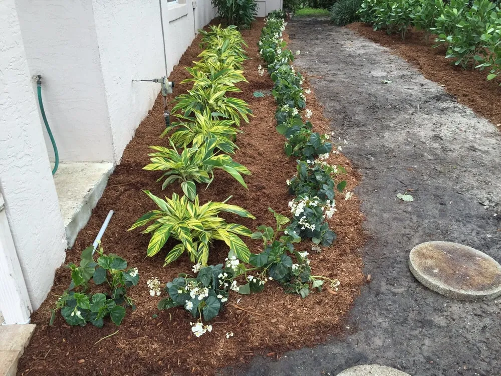 Reliable residential landscaping for residential properties across Jupiter, FL - JMJ Landscape