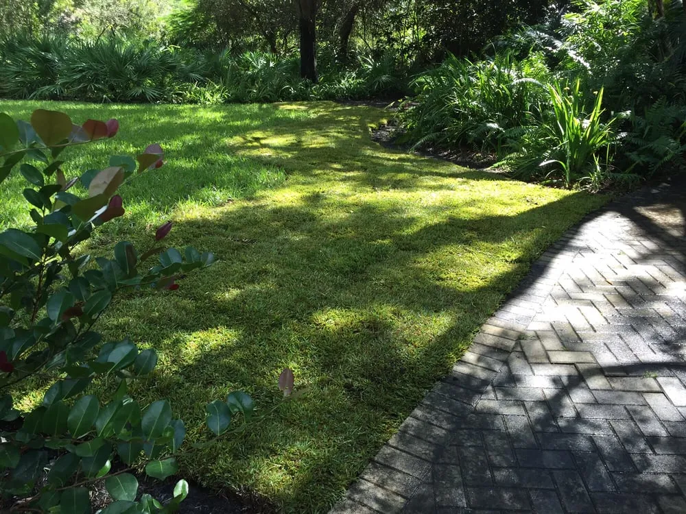 Affordable landscape design for beautiful yards in Jupiter, FL by JMJ Landscape