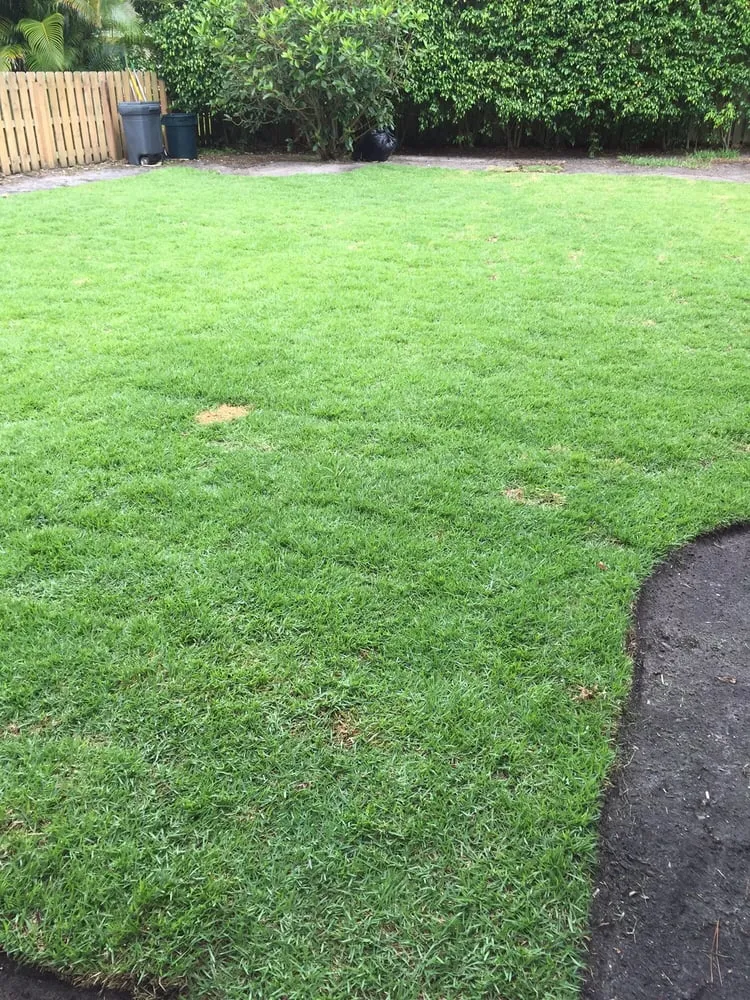 Professional garden landscaping experts serving Jupiter, FL - JMJ Landscape