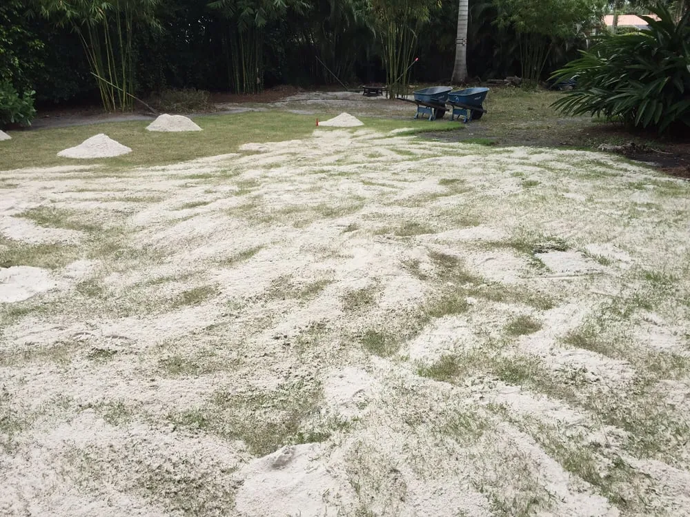 Expert yard cleanup service near you in Jupiter, FL by JMJ Landscape