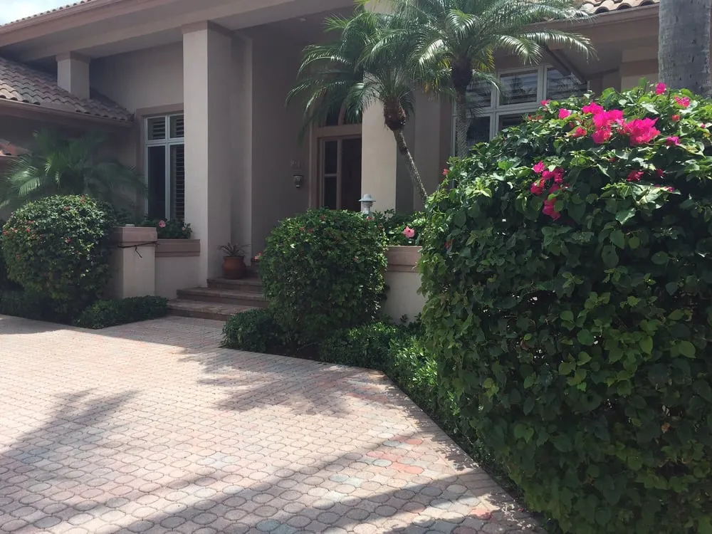 Local yard cleanup service in Jupiter, FL - JMJ Landscape