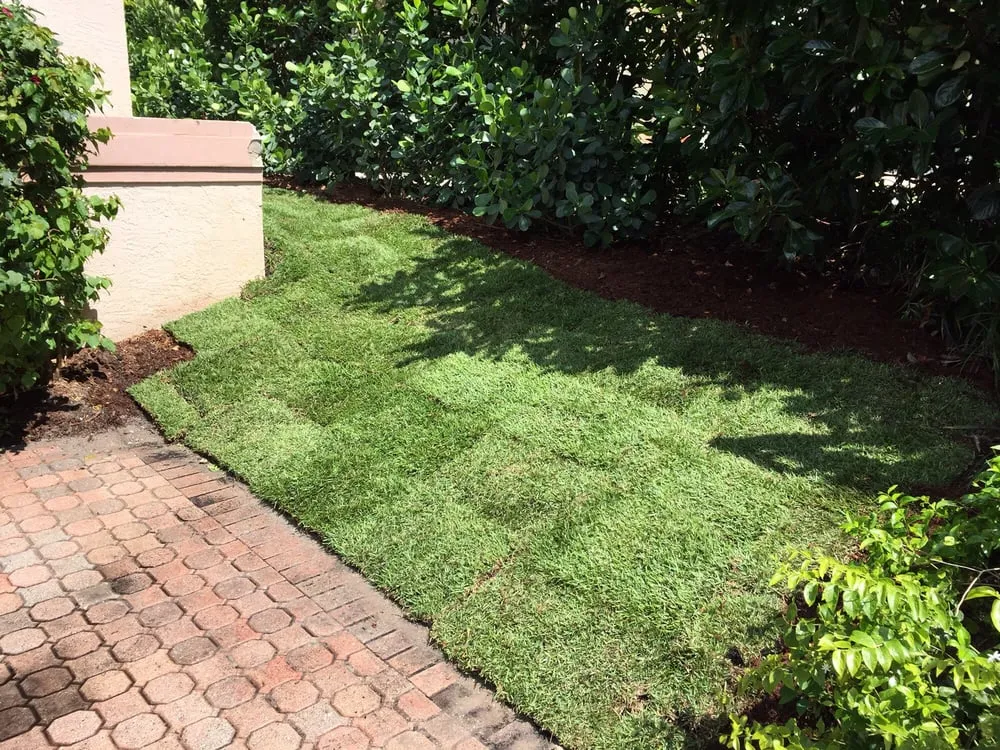 Top-rated yard maintenance experts serving Jupiter, FL - JMJ Landscape