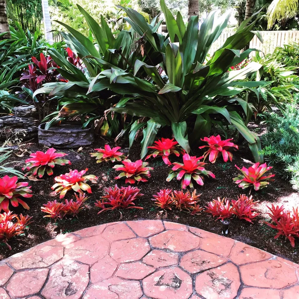 Affordable landscaping services experts serving Jupiter, FL - JMJ Landscape