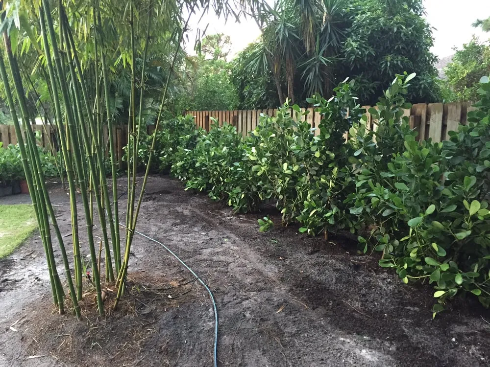 Professional garden landscaping in Jupiter, FL - JMJ Landscape