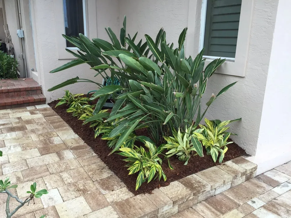 Local landscaping services for outdoor upgrades in Jupiter, FL by JMJ Landscape