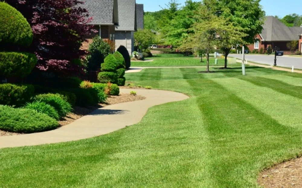 Trusted lawn mowing service in Salem, OR by JMJ Landscape