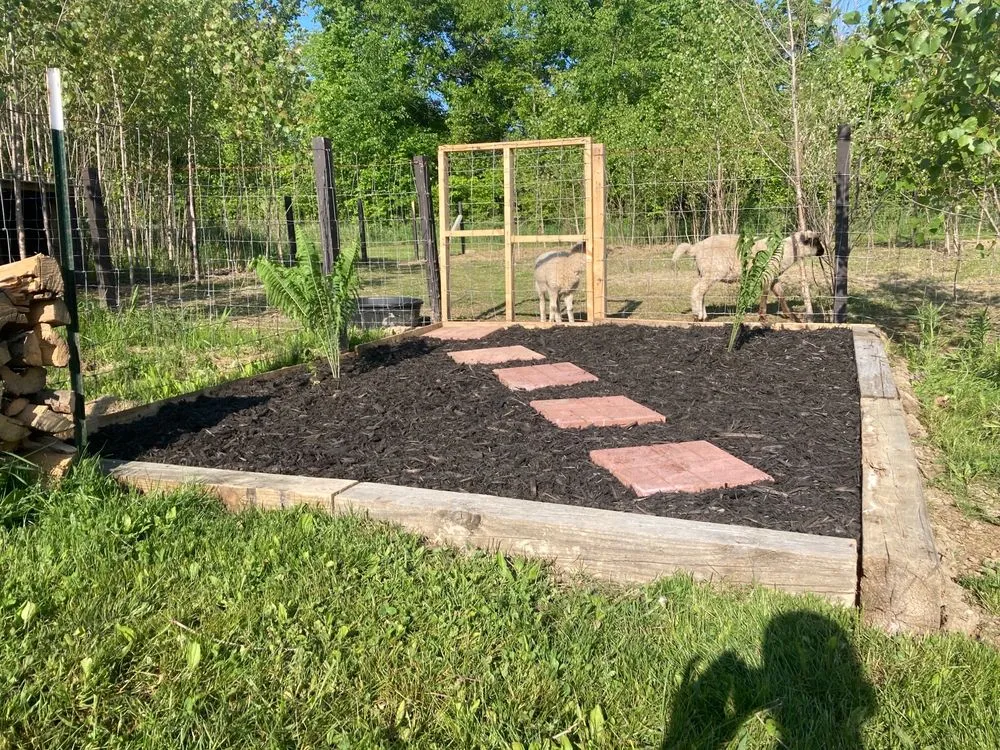 Trusted residential landscaping near you across Lapeer, MI - JMJ Landscaping