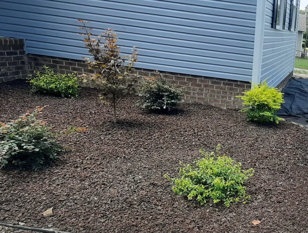 Reliable lawn care service in Fayetteville, NC - JMJ Lawn Care and More