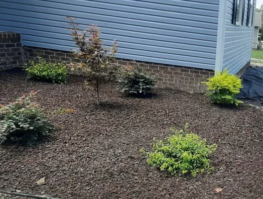 JMJ Lawn Care and More Logo