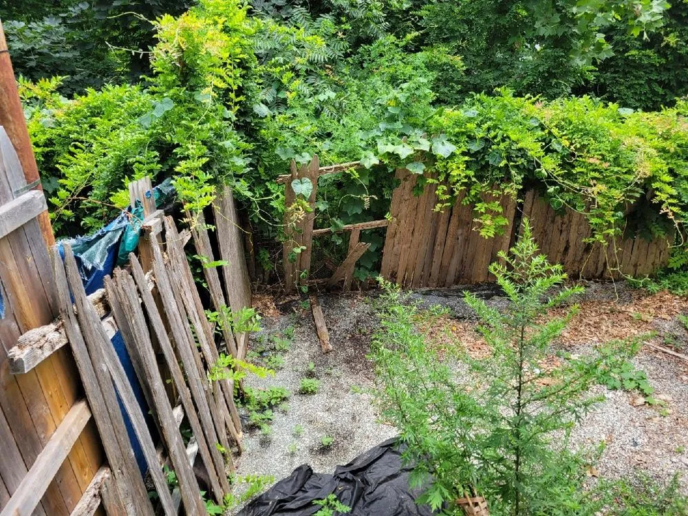 Affordable landscape installation in Easton, PA - JmJ Property Services