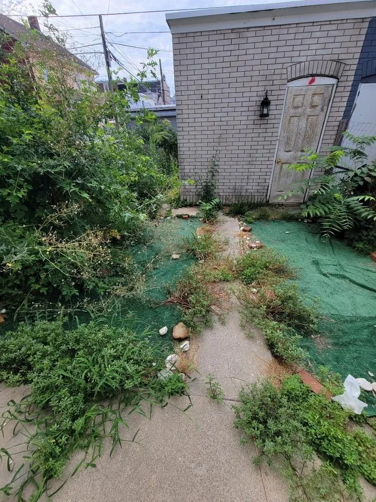 Affordable yard maintenance in Easton, PA - JmJ Property Services