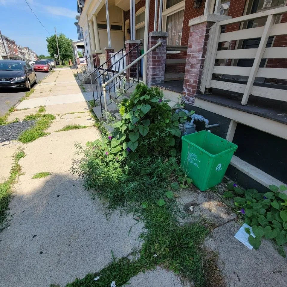 Professional landscape design for residential properties across Easton, PA - JmJ Property Services