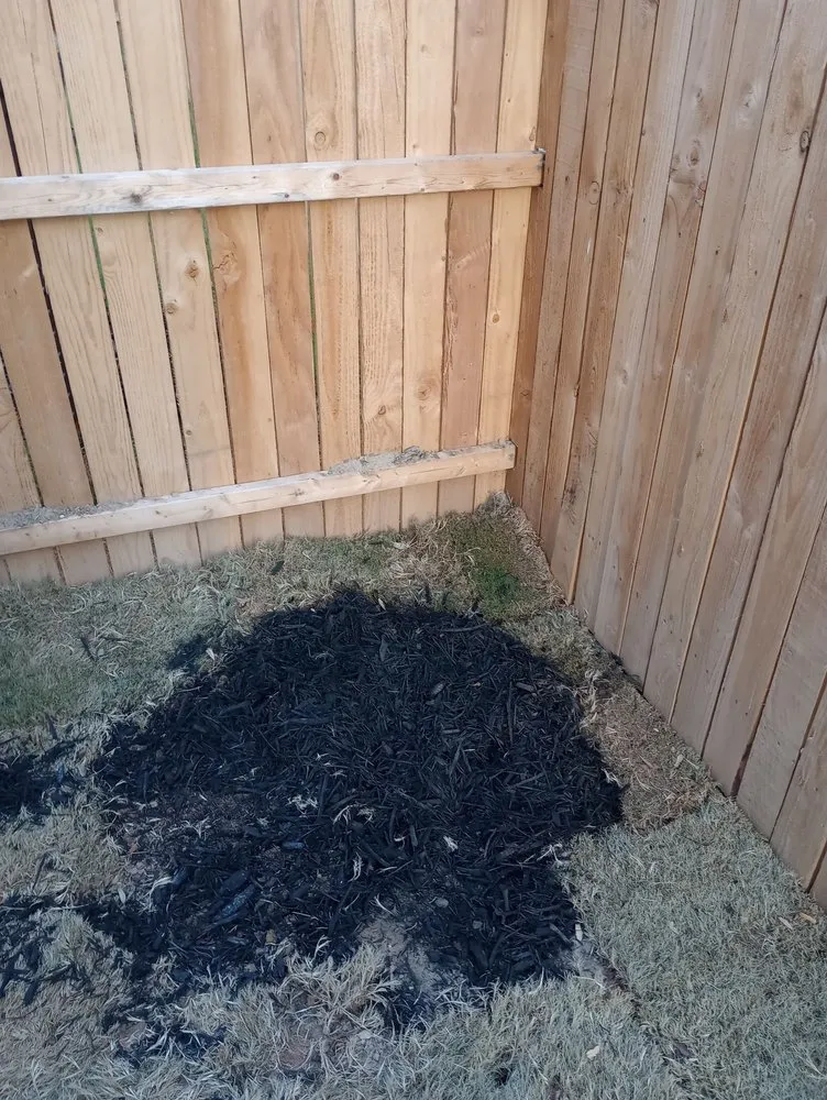 Local yard maintenance for homes in Seguin, TX by JMJ Property Services