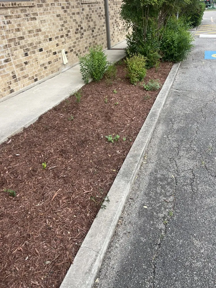 Top-rated residential landscaping for beautiful yards in Seguin, TX by JMJ Property Services