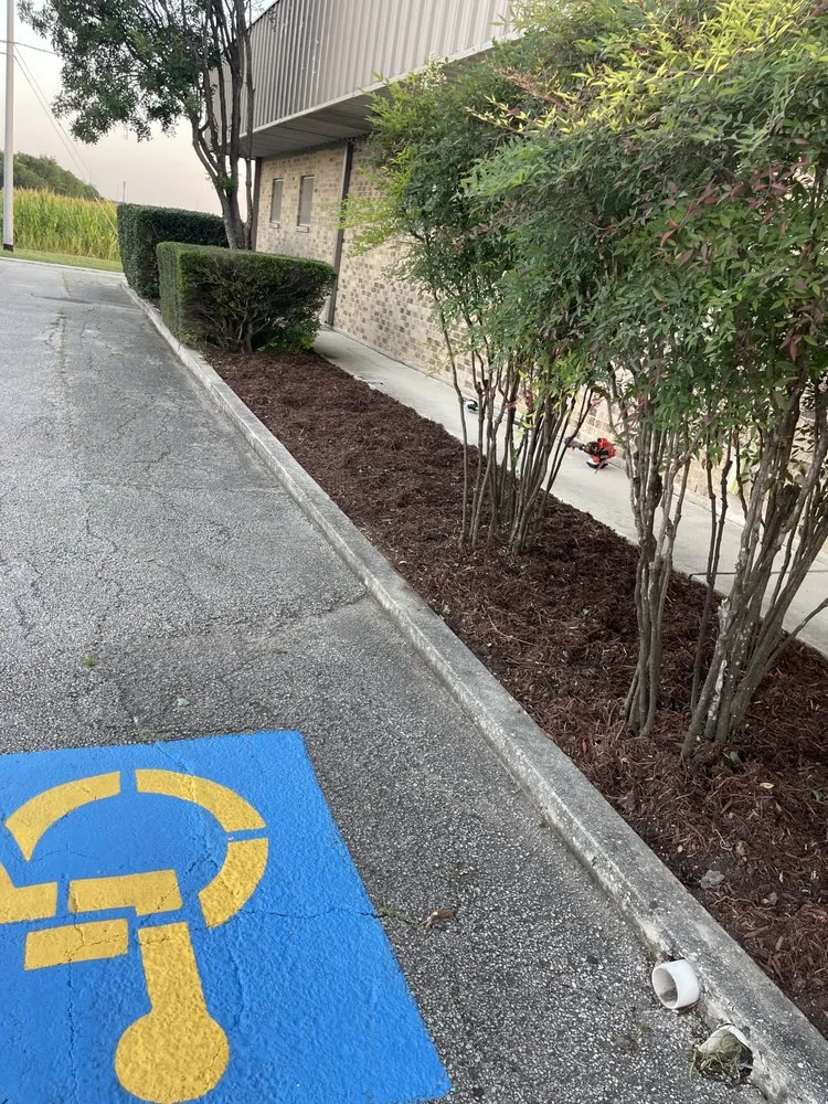 Professional residential landscaping near you in Seguin, TX by JMJ Property Services