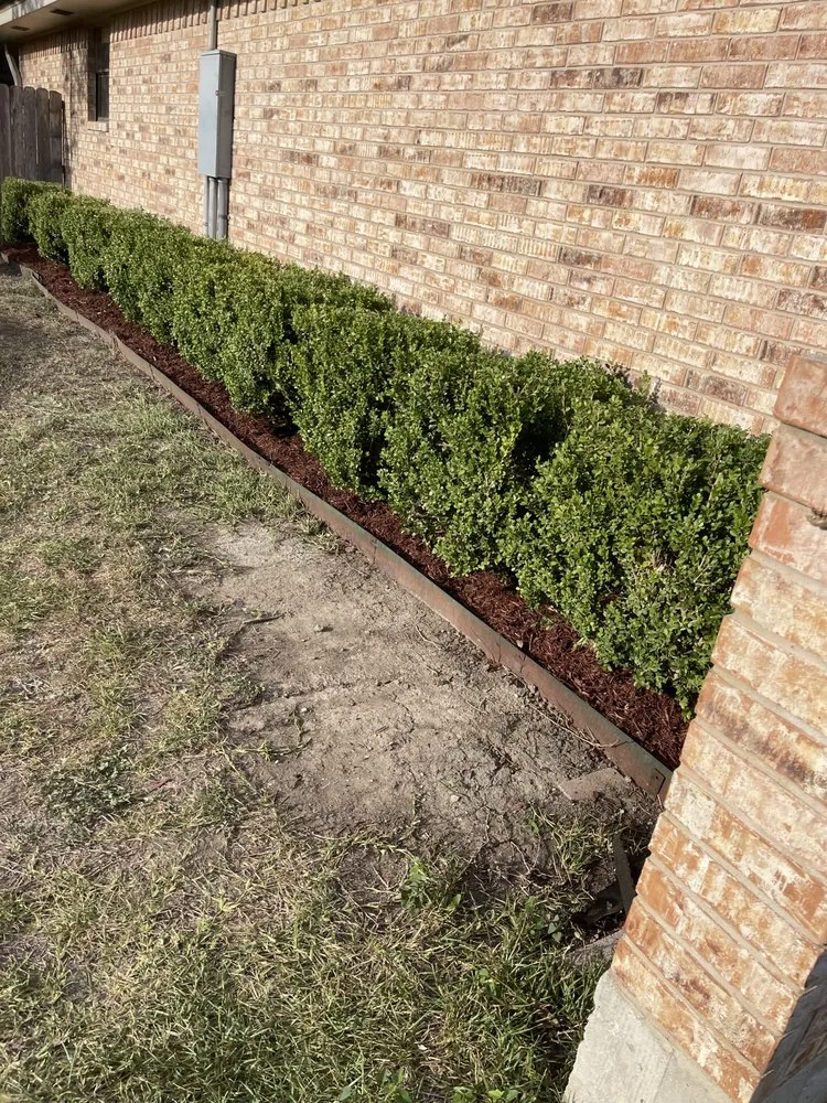 Expert lawn care service for homes in Seguin, TX by JMJ Property Services