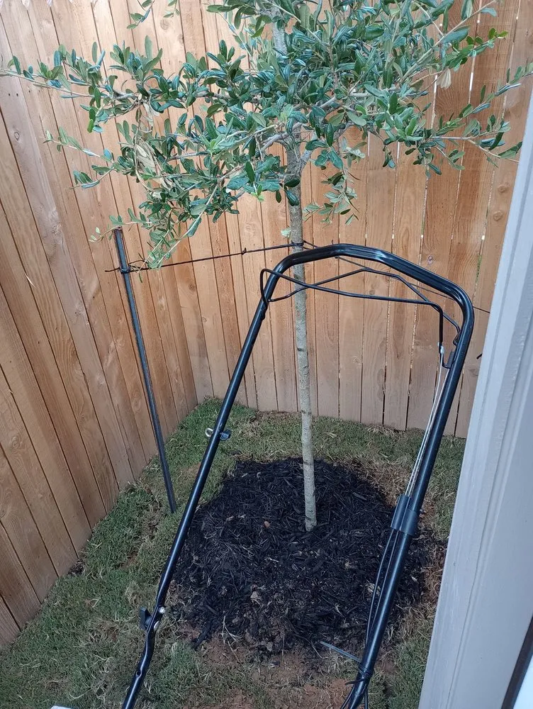 Reliable landscape installation for homes in Seguin, TX by JMJ Property Services