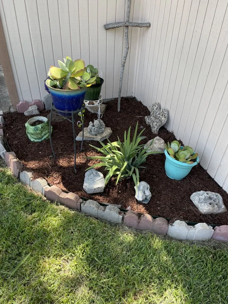 Professional landscape installation for year-round maintenance in Seguin, TX by JMJ Property Services