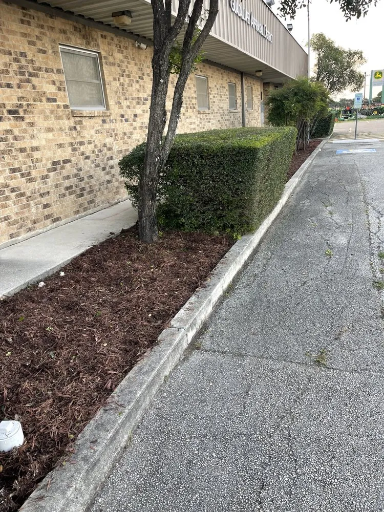 Top-rated landscape design in Seguin, TX by JMJ Property Services