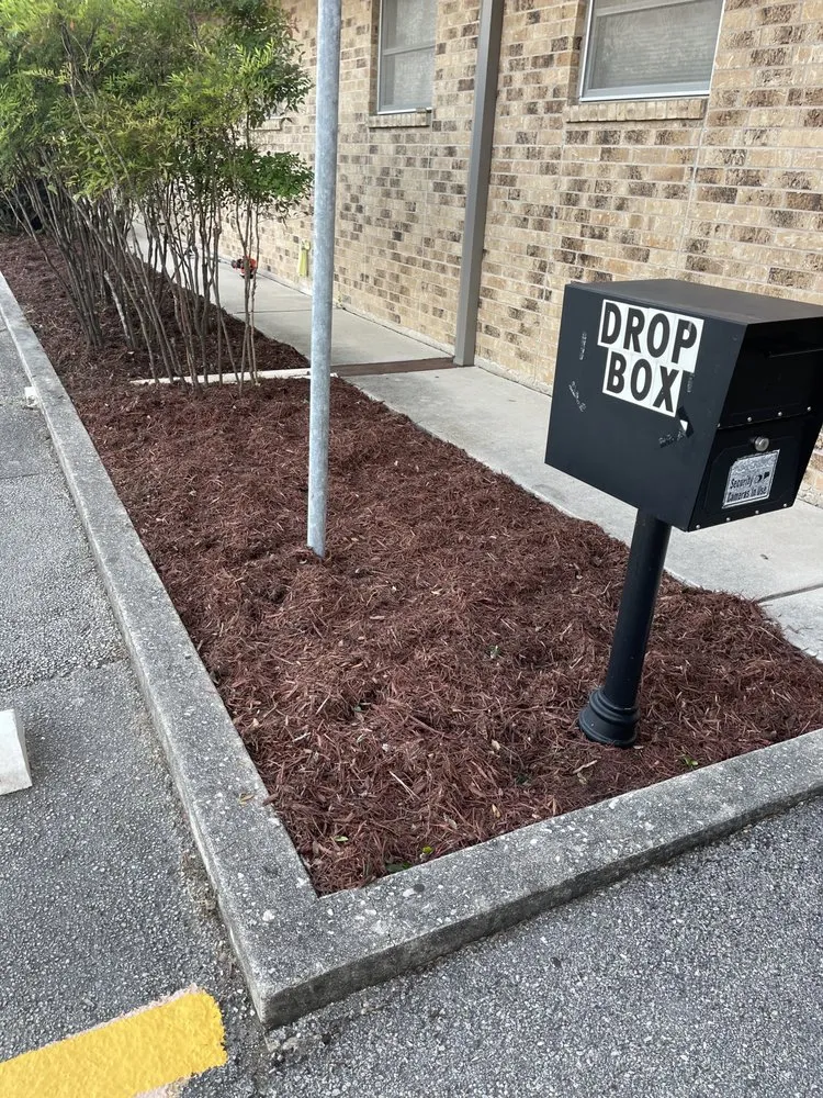 Top-rated yard cleanup service in Seguin, TX - JMJ Property Services