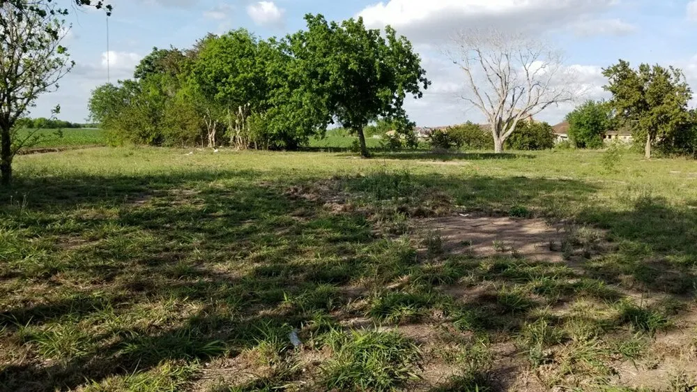 Reliable landscape installation in San Benito, TX by JMJ Superior Services