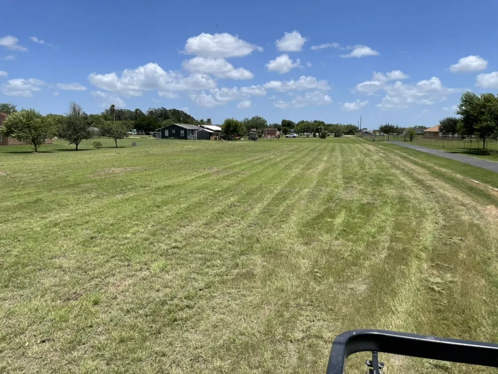 Local landscaping services experts serving San Benito, TX - JMJ Superior Services