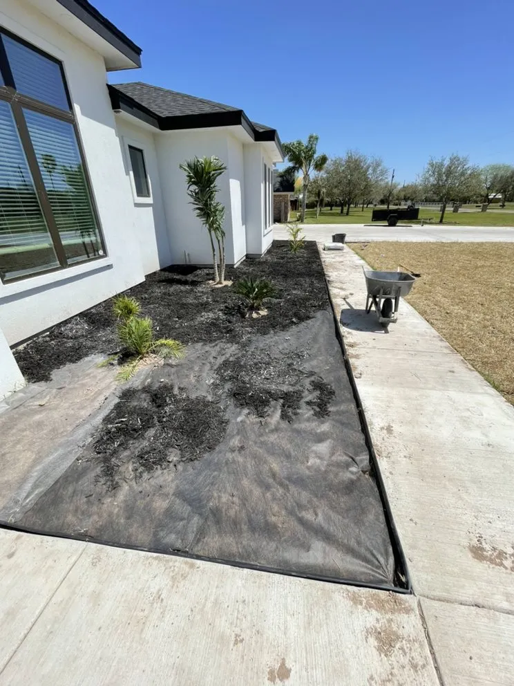 Affordable yard maintenance in San Benito, TX by JMJ Superior Services