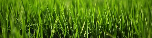 JMK Landscapes